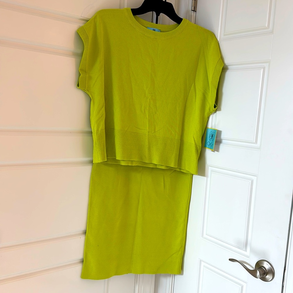 NWT KEY LIME CECE SKIRT SET